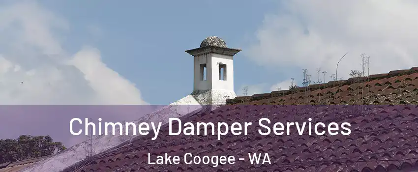 Chimney Damper Services Lake Coogee - WA