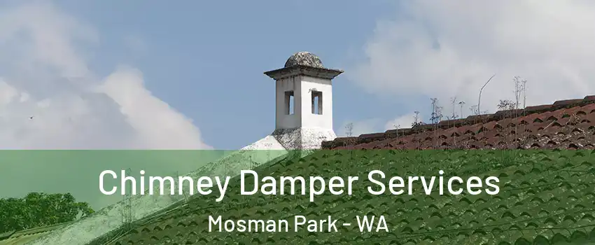 Chimney Damper Services Mosman Park - WA