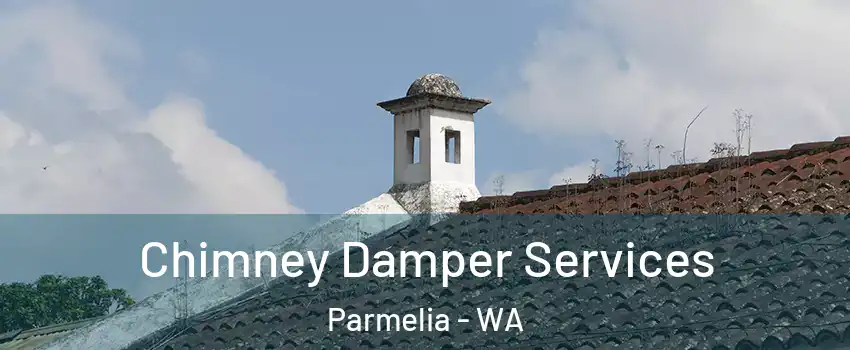Chimney Damper Services Parmelia - WA