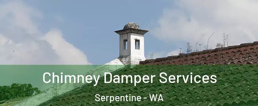 Chimney Damper Services Serpentine - WA