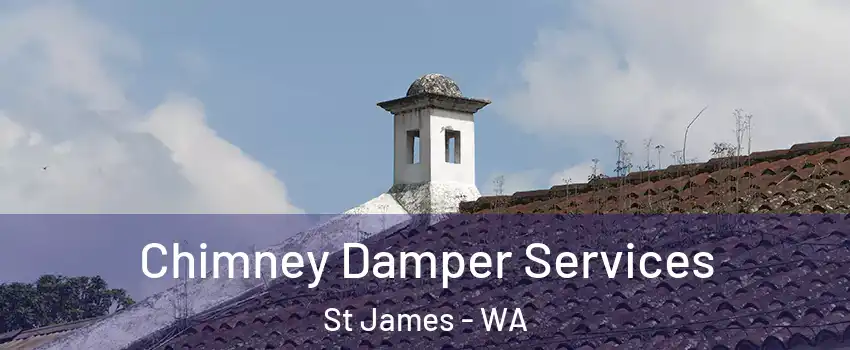 Chimney Damper Services St James - WA