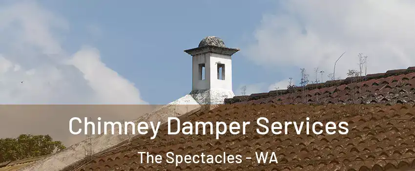 Chimney Damper Services The Spectacles - WA