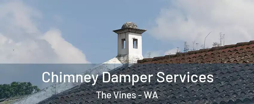 Chimney Damper Services The Vines - WA
