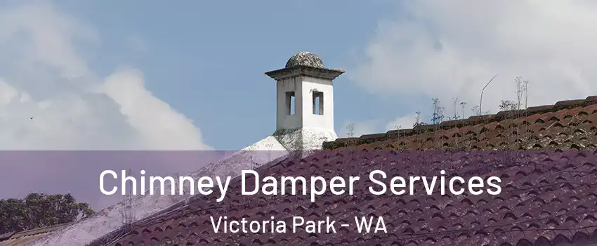 Chimney Damper Services Victoria Park - WA