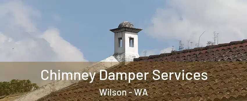 Chimney Damper Services Wilson - WA