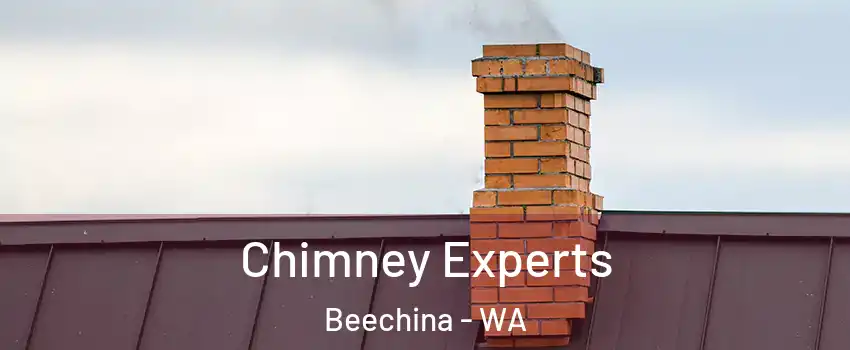 Chimney Experts Beechina - WA