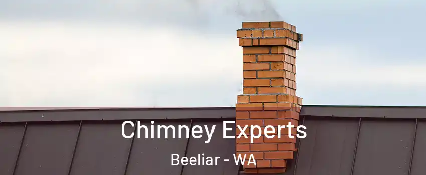Chimney Experts Beeliar - WA