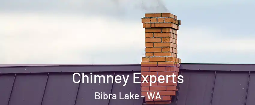 Chimney Experts Bibra Lake - WA