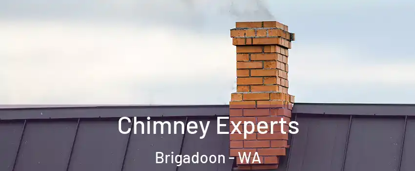 Chimney Experts Brigadoon - WA