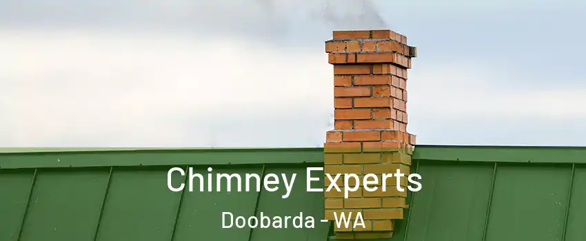 Chimney Experts Doobarda - WA