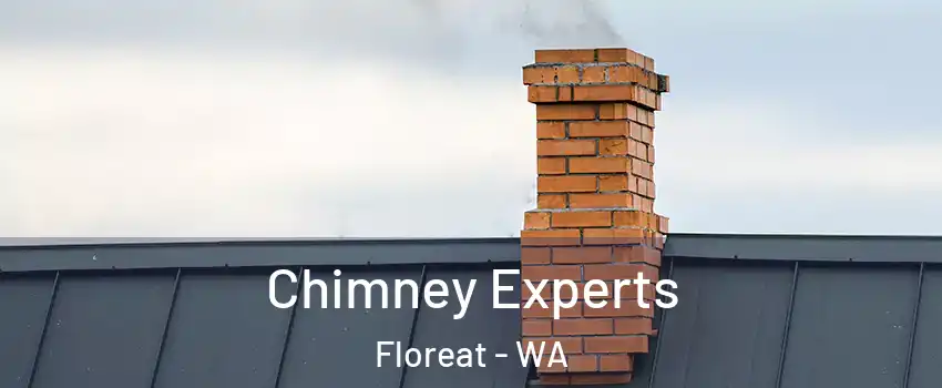 Chimney Experts Floreat - WA