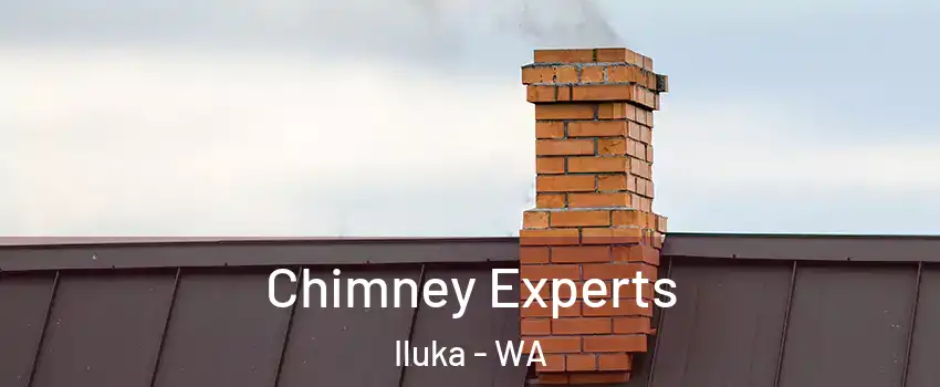 Chimney Experts Iluka - WA
