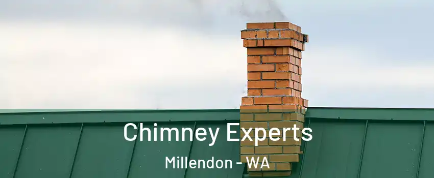 Chimney Experts Millendon - WA