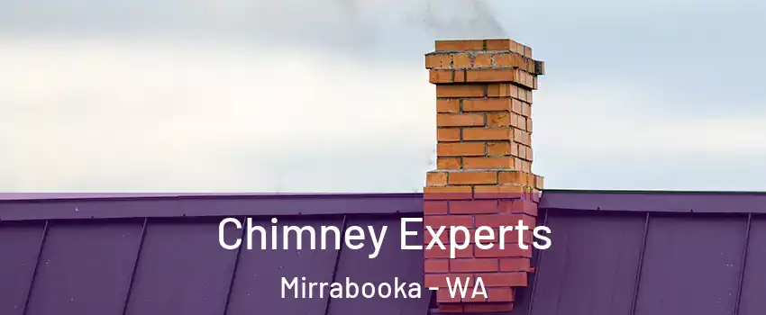 Chimney Experts Mirrabooka - WA