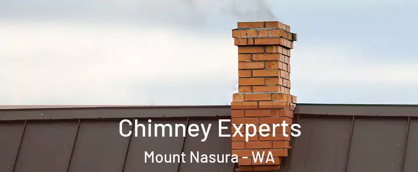 Chimney Experts Mount Nasura - WA