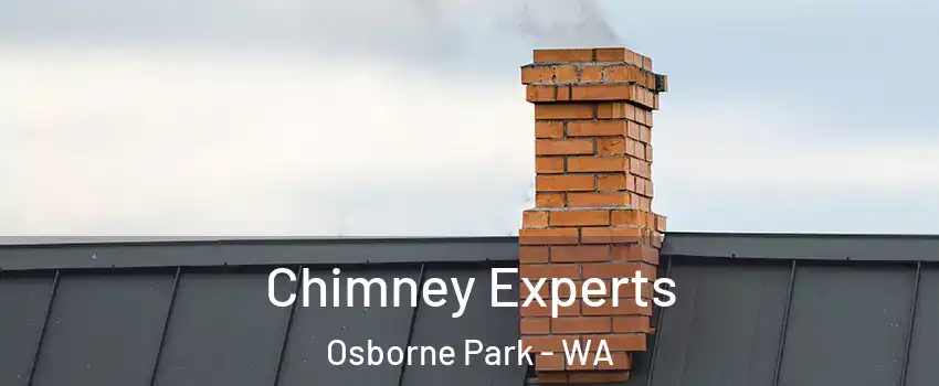 Chimney Experts Osborne Park - WA