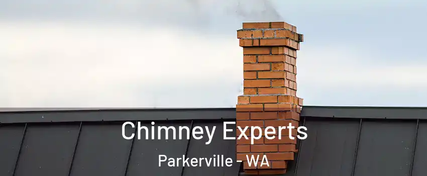Chimney Experts Parkerville - WA
