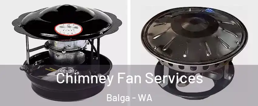 Chimney Fan Services Balga - WA