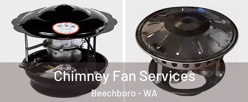 Chimney Fan Services Beechboro - WA