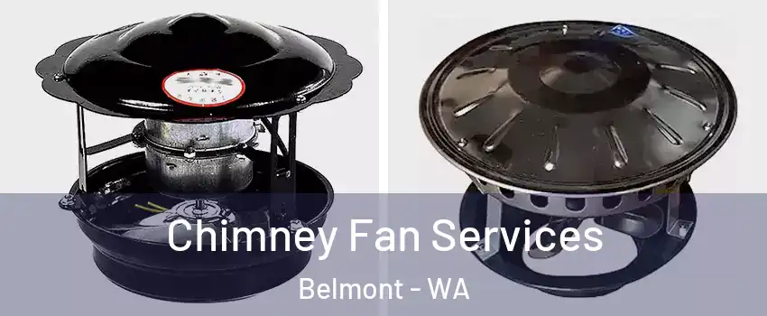 Chimney Fan Services Belmont - WA
