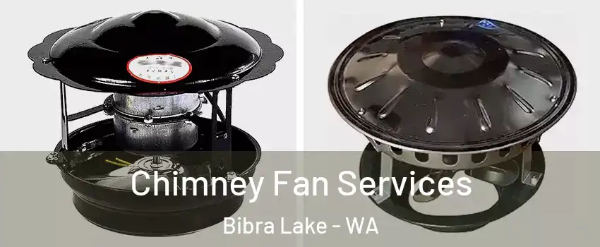 Chimney Fan Services Bibra Lake - WA