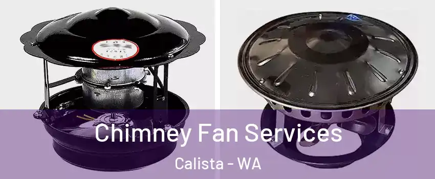 Chimney Fan Services Calista - WA
