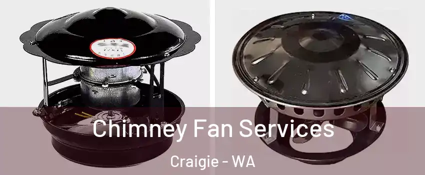 Chimney Fan Services Craigie - WA