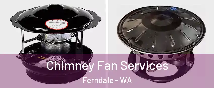 Chimney Fan Services Ferndale - WA