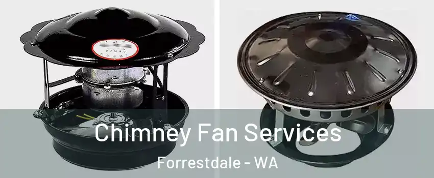 Chimney Fan Services Forrestdale - WA