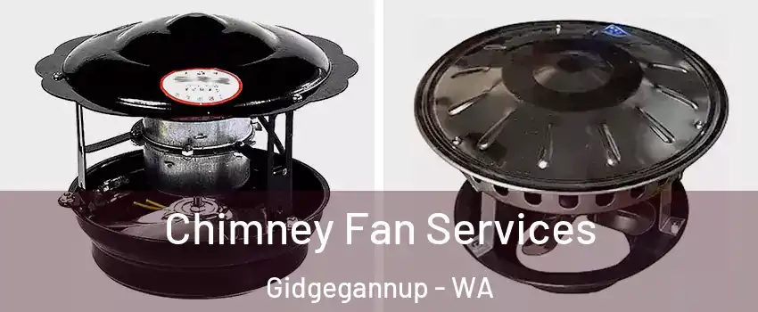 Chimney Fan Services Gidgegannup - WA
