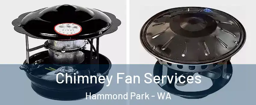Chimney Fan Services Hammond Park - WA