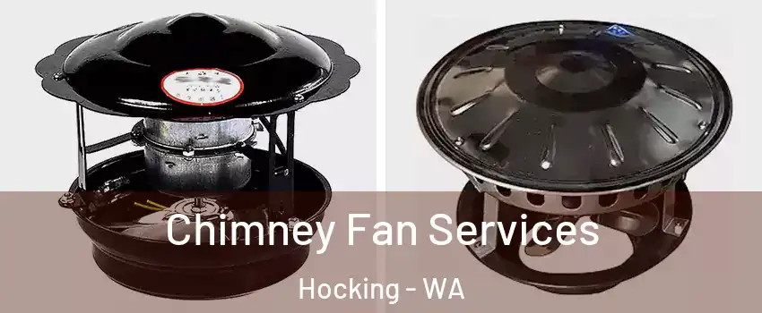 Chimney Fan Services Hocking - WA