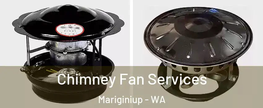 Chimney Fan Services Mariginiup - WA