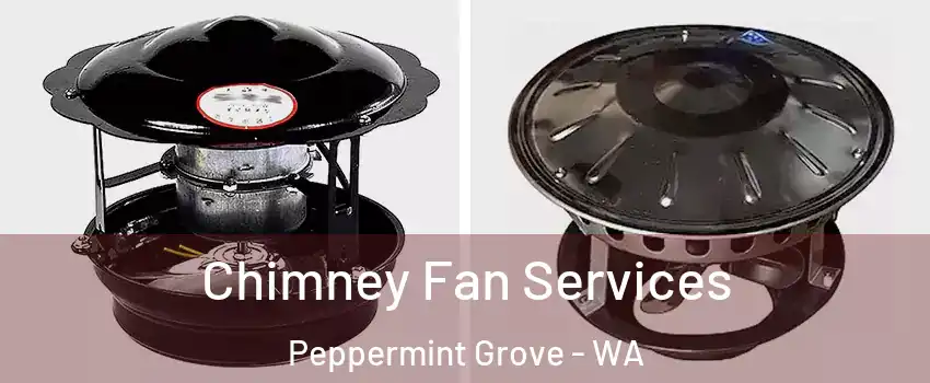 Chimney Fan Services Peppermint Grove - WA