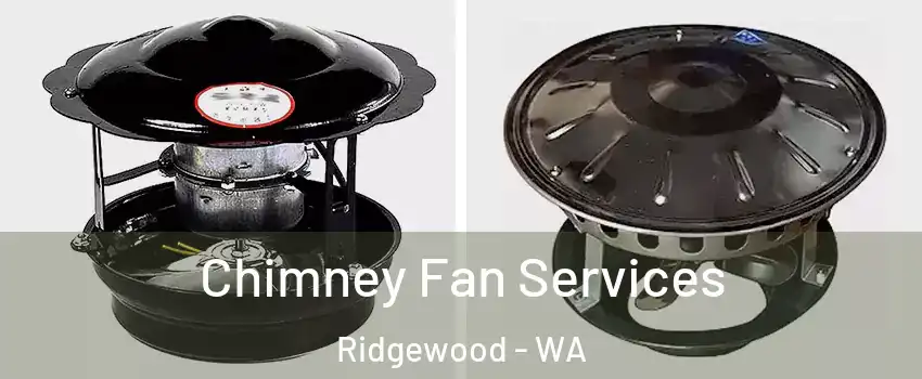 Chimney Fan Services Ridgewood - WA