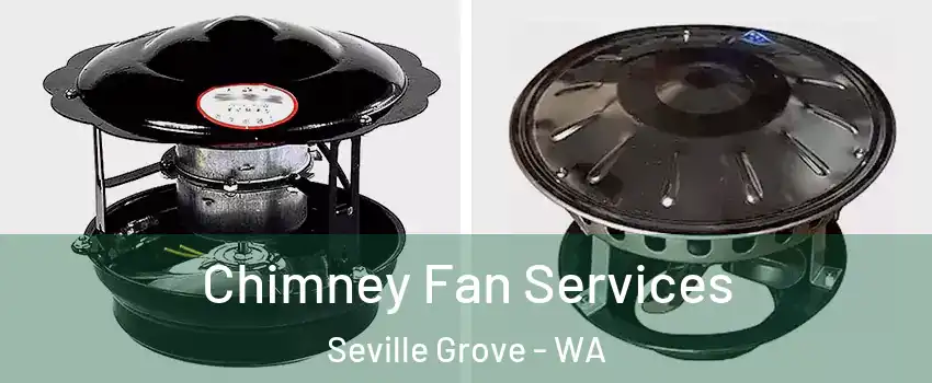 Chimney Fan Services Seville Grove - WA