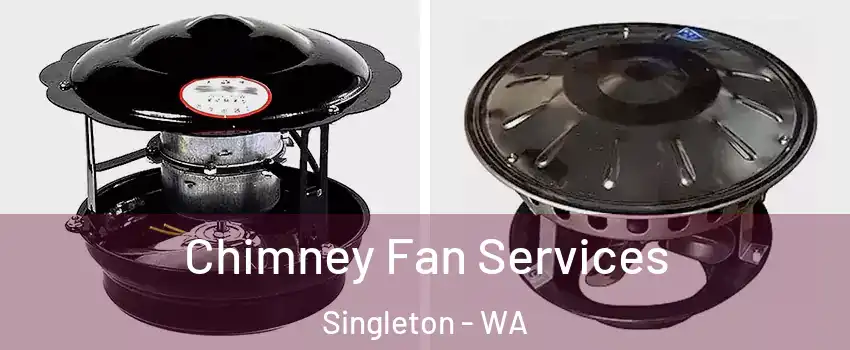 Chimney Fan Services Singleton - WA