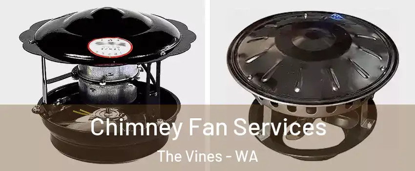 Chimney Fan Services The Vines - WA