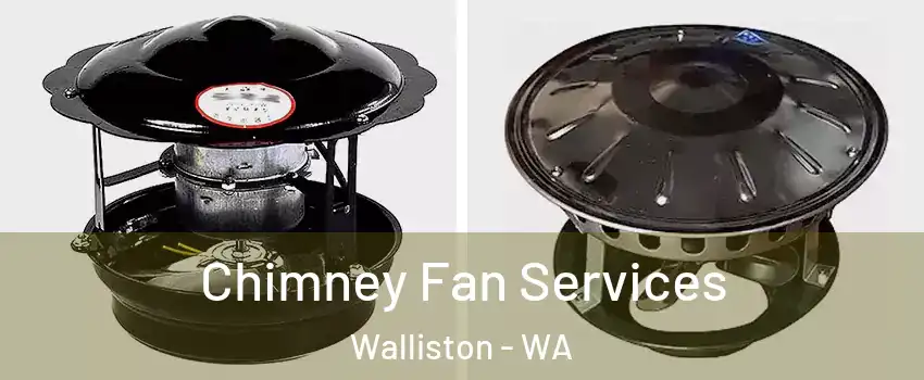 Chimney Fan Services Walliston - WA