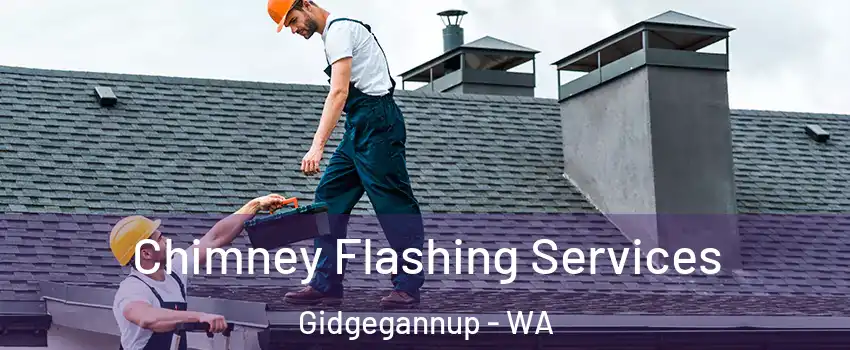 Chimney Flashing Services Gidgegannup - WA