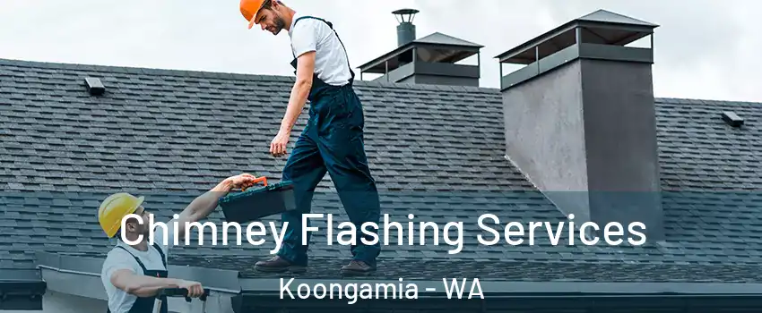 Chimney Flashing Services Koongamia - WA