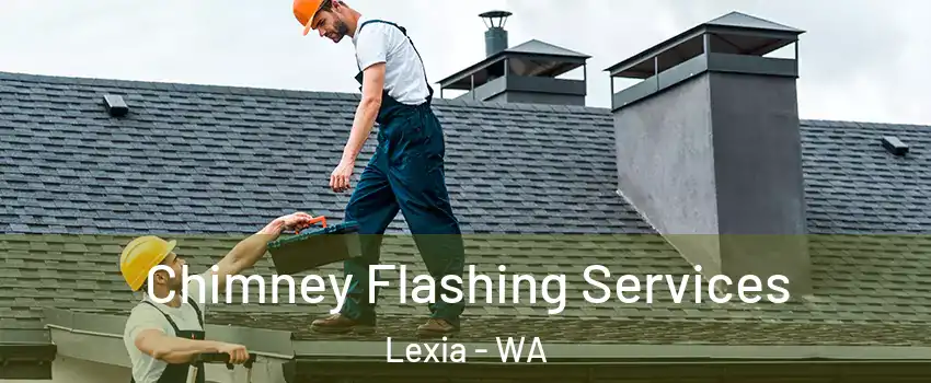 Chimney Flashing Services Lexia - WA