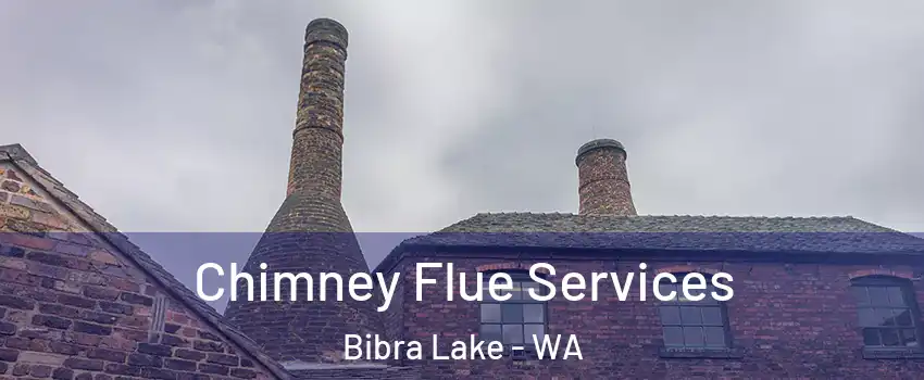Chimney Flue Services Bibra Lake - WA