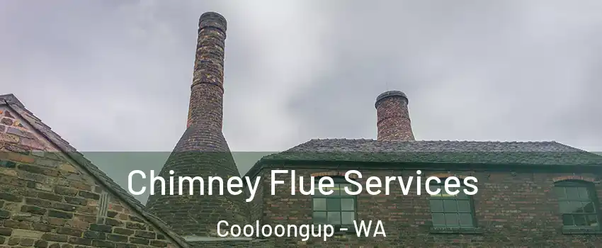 Chimney Flue Services Cooloongup - WA