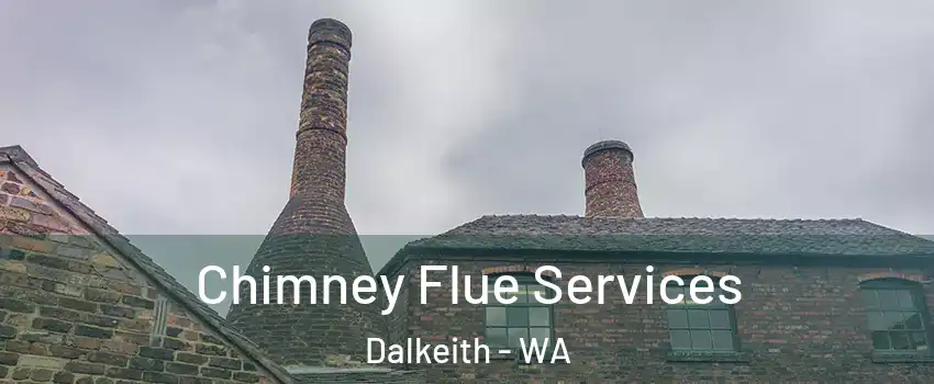  Chimney Flue Services Dalkeith - WA
