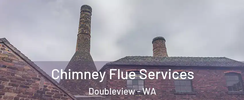 Chimney Flue Services Doubleview - WA