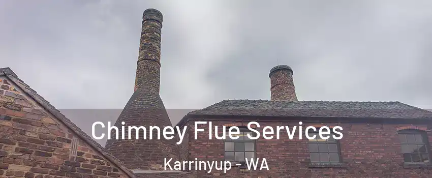 Chimney Flue Services Karrinyup - WA