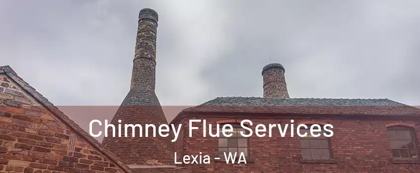 Chimney Flue Services Lexia - WA