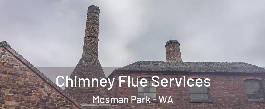 Chimney Flue Services Mosman Park - WA