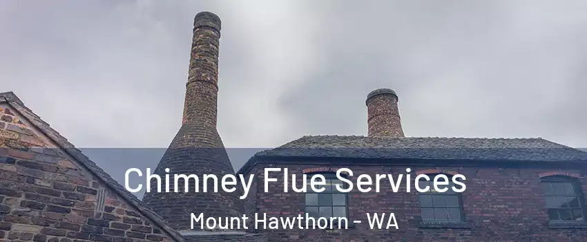 Chimney Flue Services Mount Hawthorn - WA